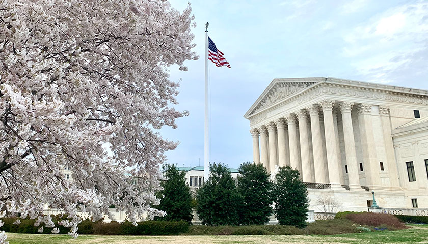 Supreme Court with a cherry blossom in the foreground